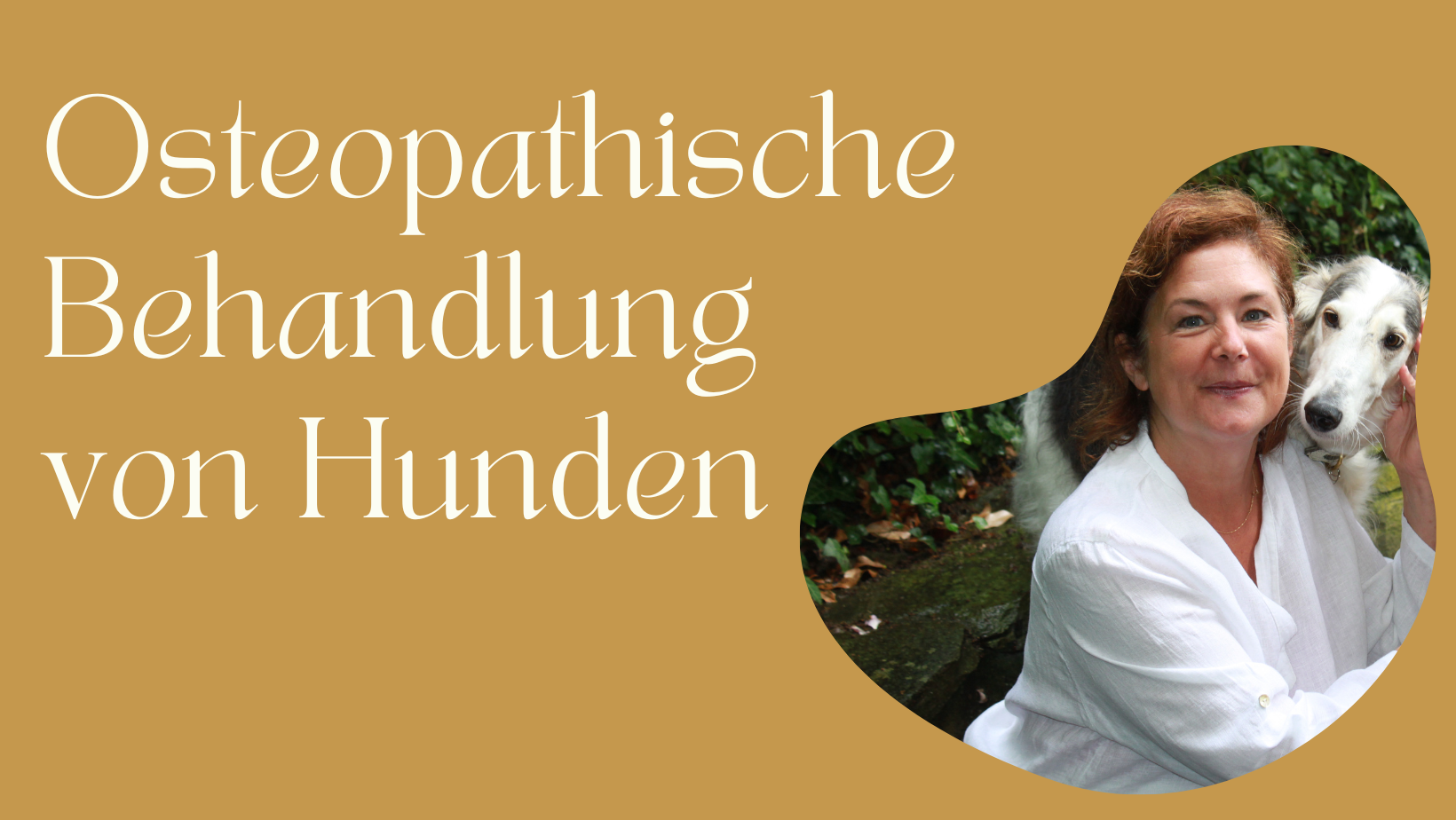 Sabine Bachem Osteopathie - Osteopathische Behandlung von Hunden